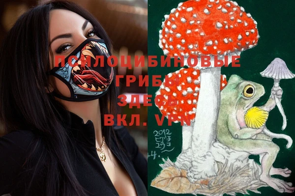 mdma Михайловск