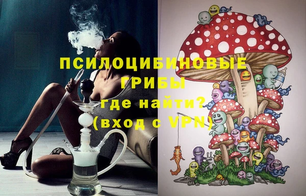первитин Анива