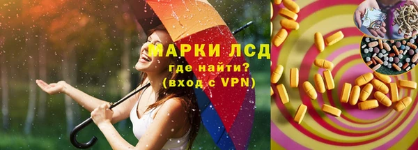 PSILOCYBIN Михайлов