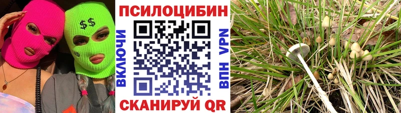 цена наркотик  Зарайск  Галлюциногенные грибы мухоморы 